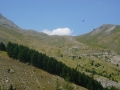 cayolle-champs-allos-20